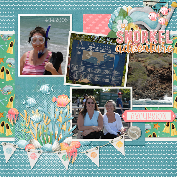 Snorkel bundle from Designs by Connie Prince