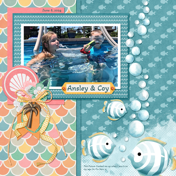 Snorkel bundle from Designs by Connie Prince