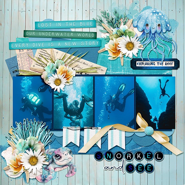 Snorkel & See