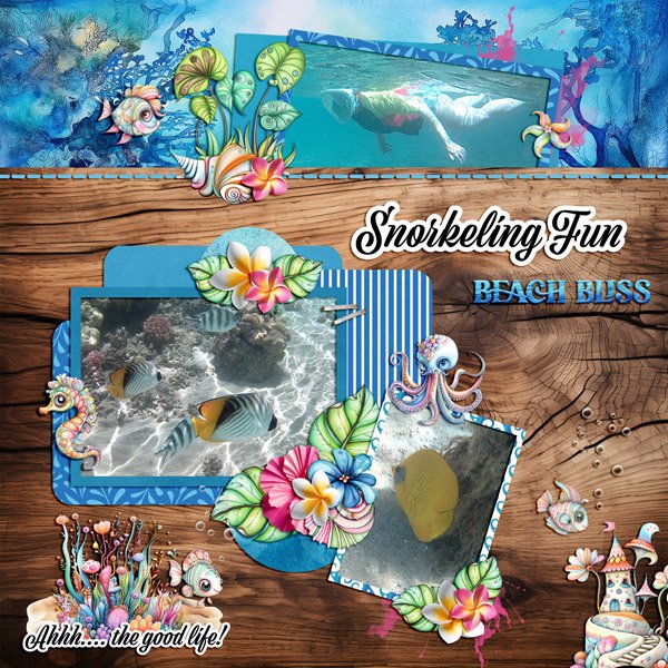 snorkeling fun