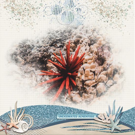 Snorkelling Sights
