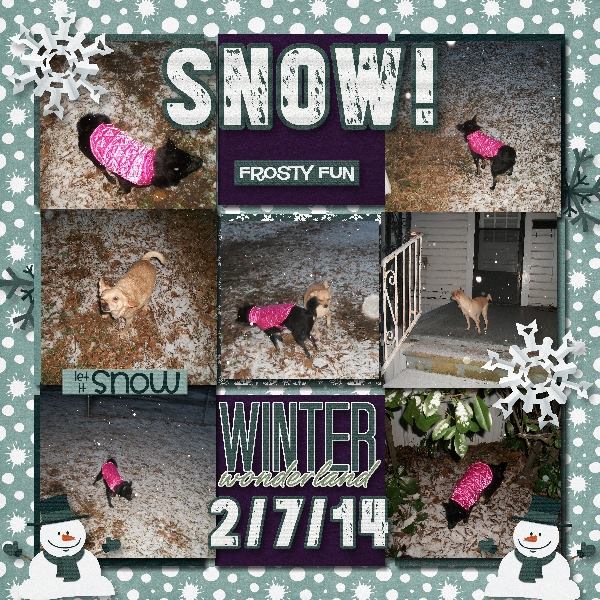 Snow 2/7/14