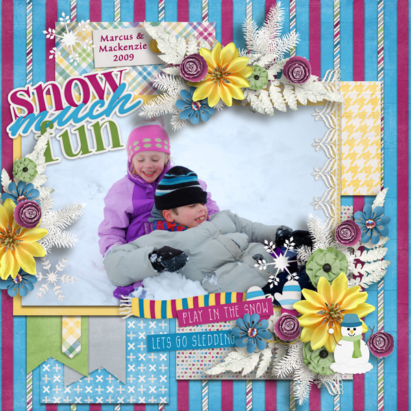 Snow 2009
