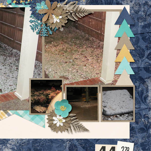 Snow 2014