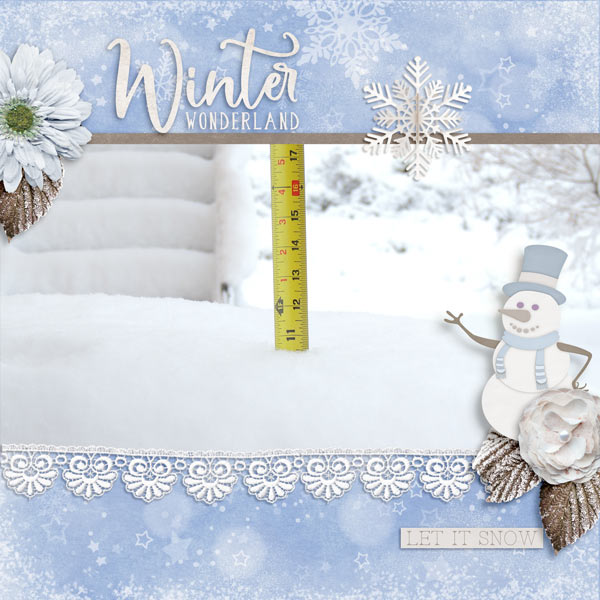 Snow 2015