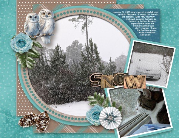 Snow 2025-01-21
