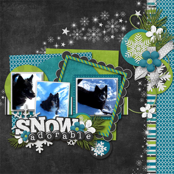 Snow Adorable