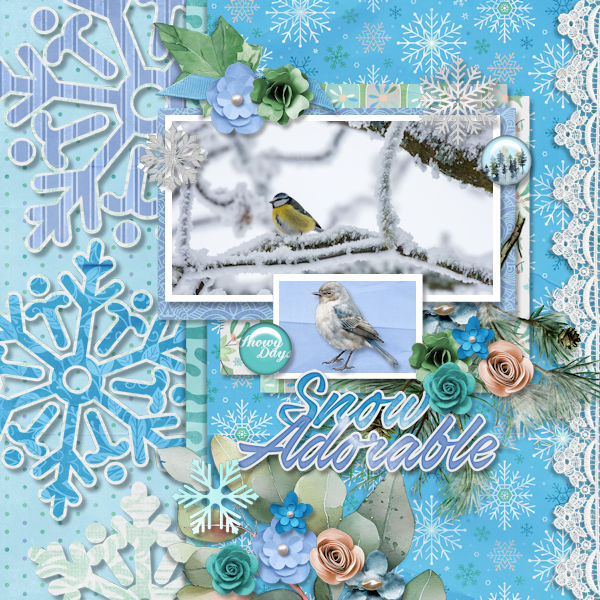 Snow Adorable