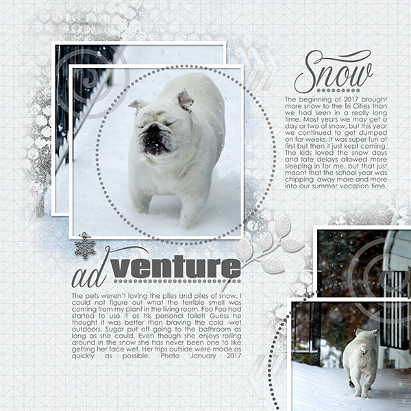 Snow Adventure