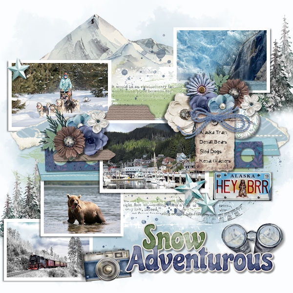 Snow Adventurous Alaska