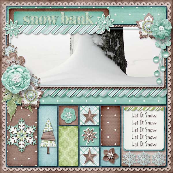 Snow Bank
