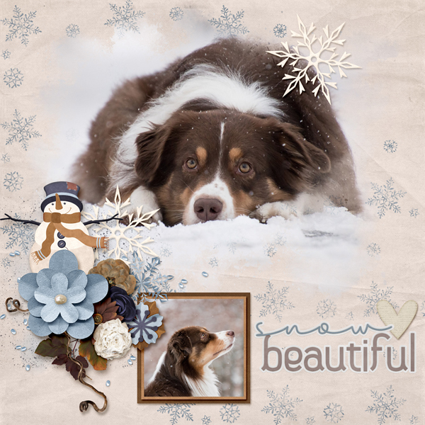 Snow Beautiful