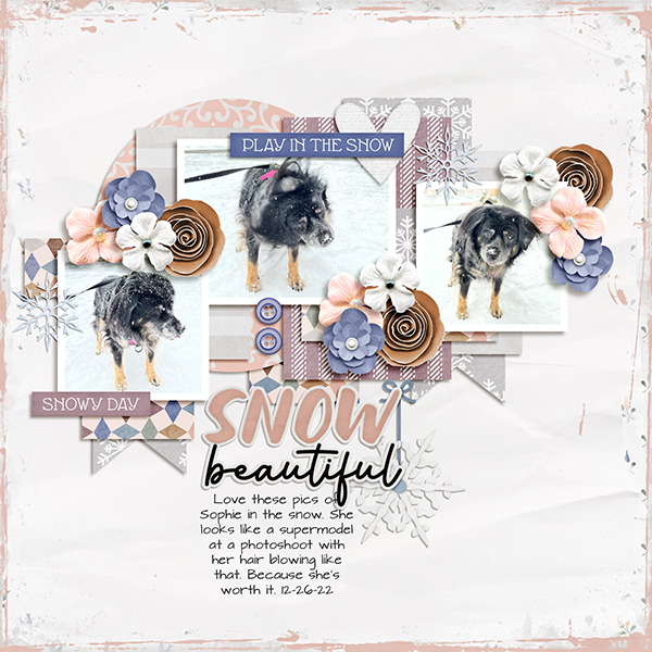 Snow Beautiful
