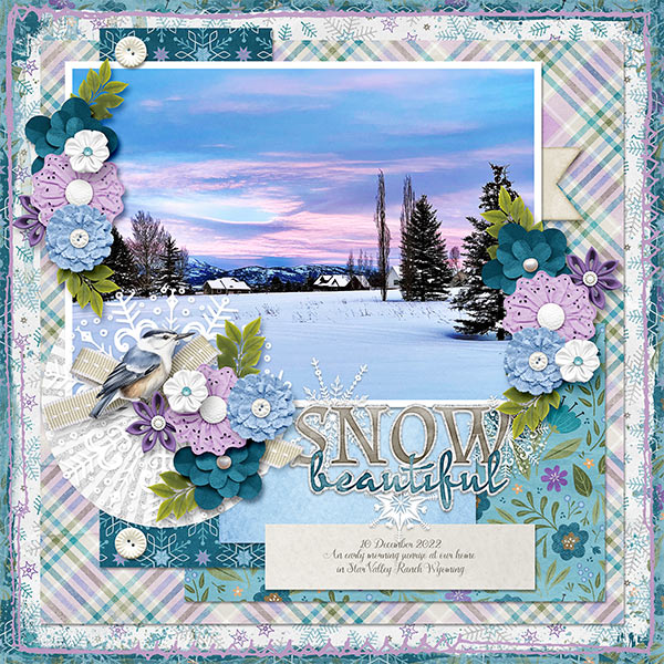 SNOW BEAUTIFUL