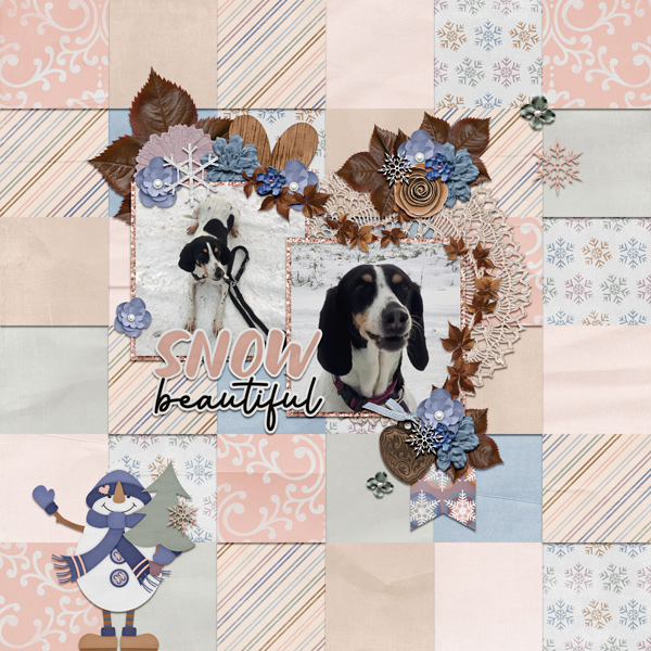 snow beauty 2022