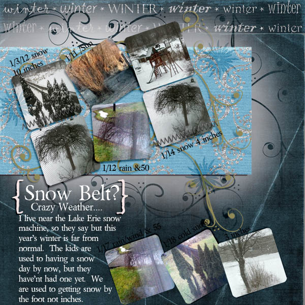 Snow Belt?