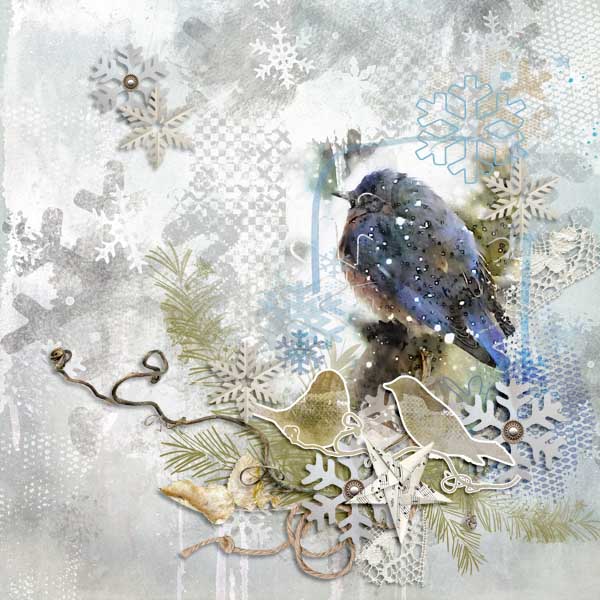 Snow Bird