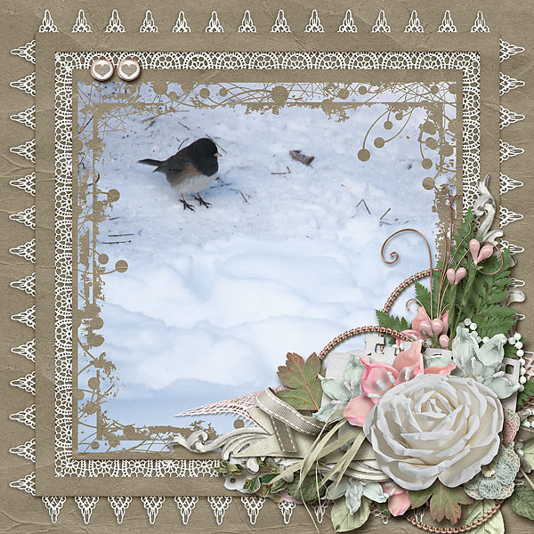 Snow Bird