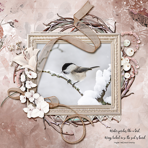 Snow Bird