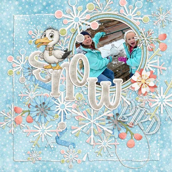 Snow Bird