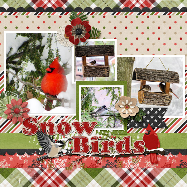 Snow Birds