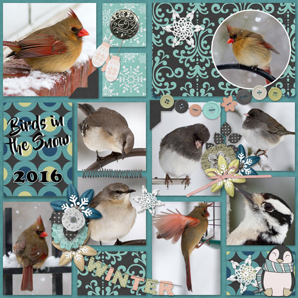 Snow Birds