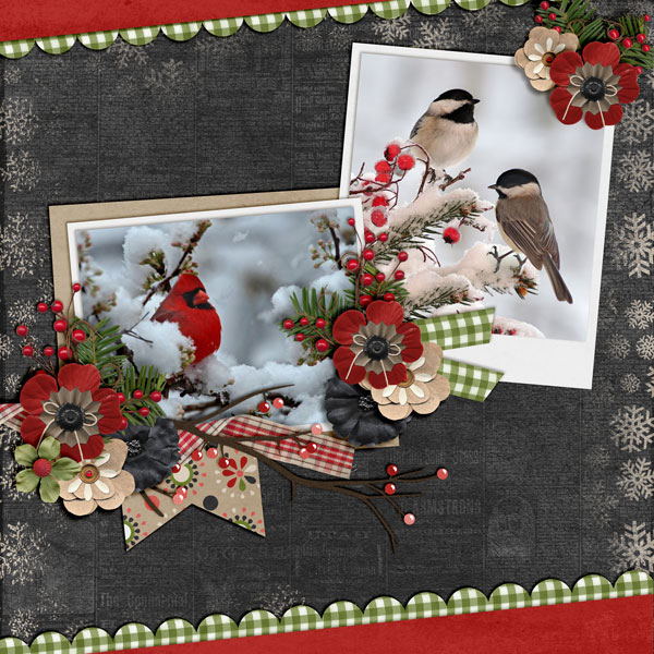 Snow-Birds