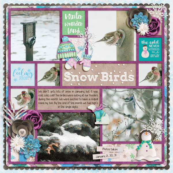 Snow Birds