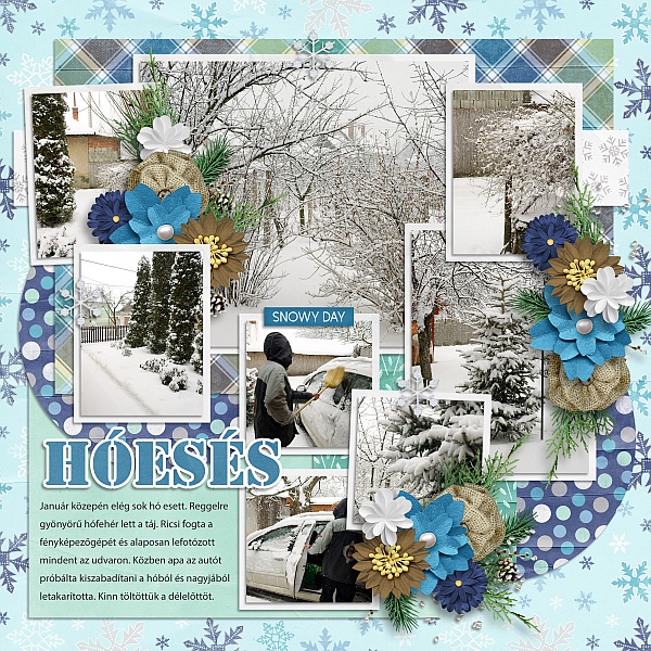 Snow birds