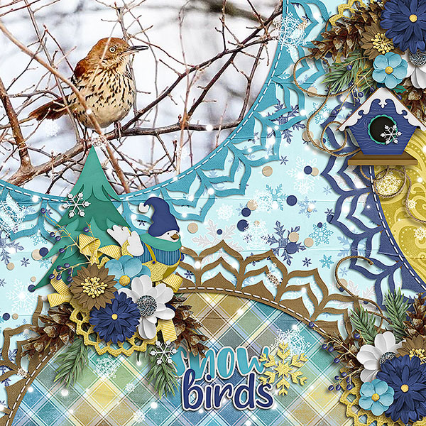 Snow Birds