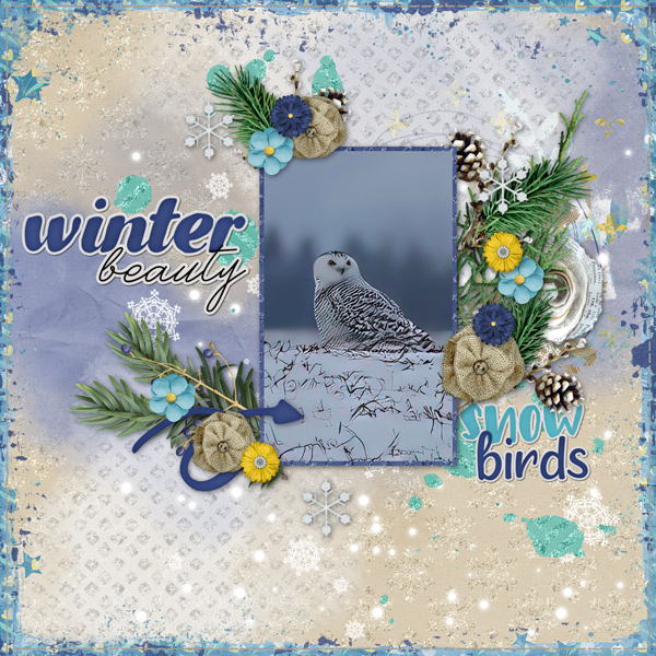 Snow Birds