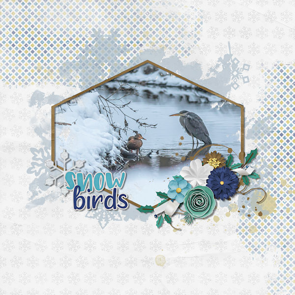 Snow Birds