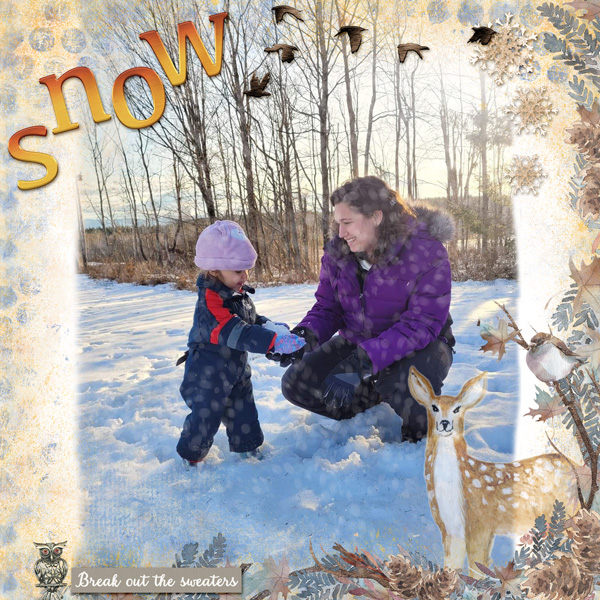 SNOW - BRUCH JAN 2023