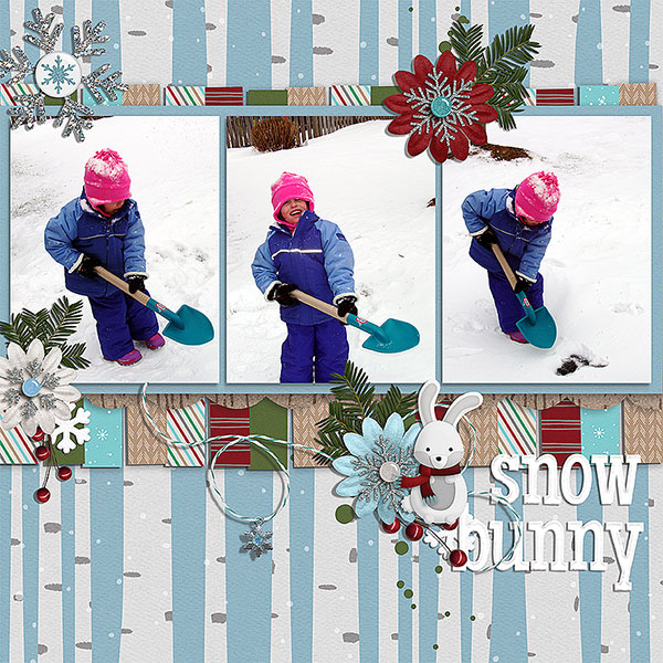 snow bunny
