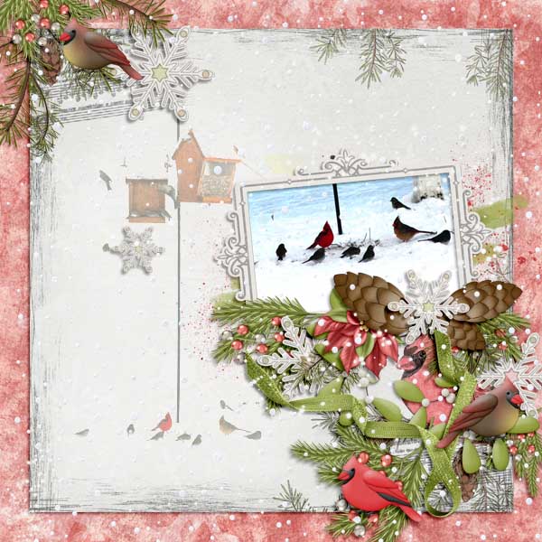 Snow Cardinals