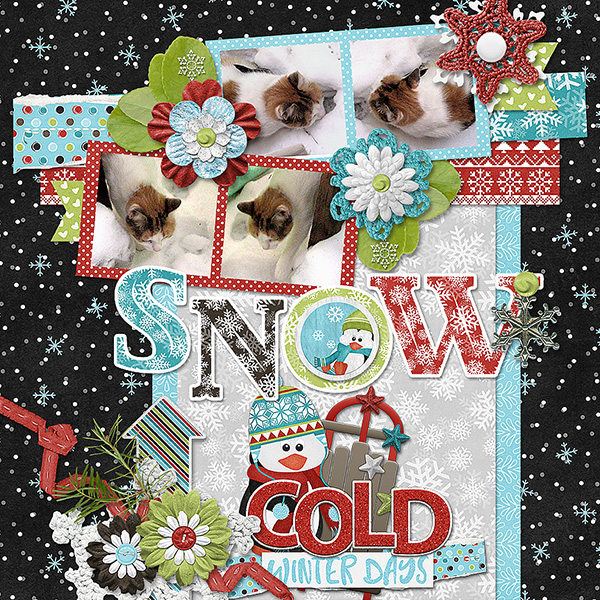 Snow Cat