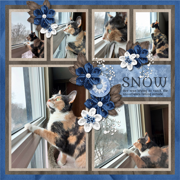 Snow Catcher