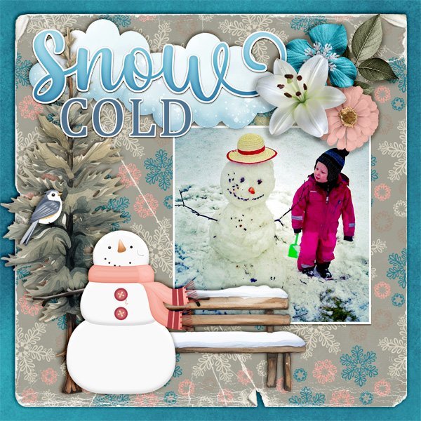 Snow-cold.jpg