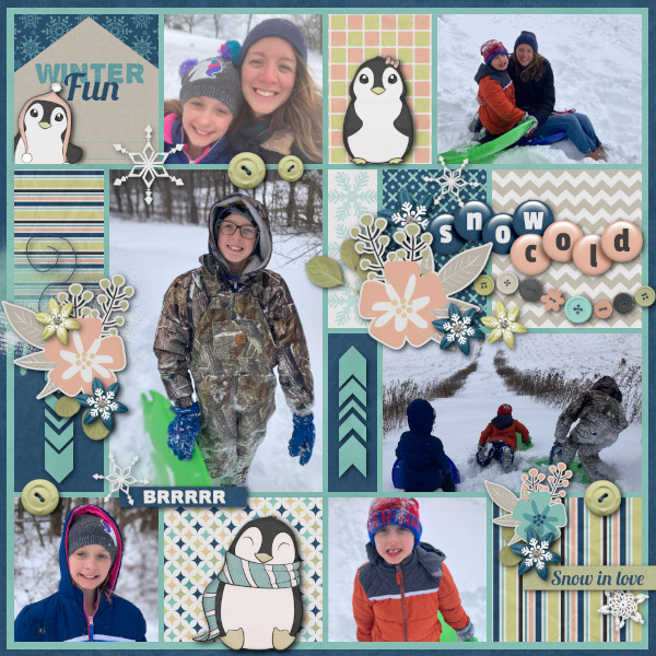 Snow Cold
