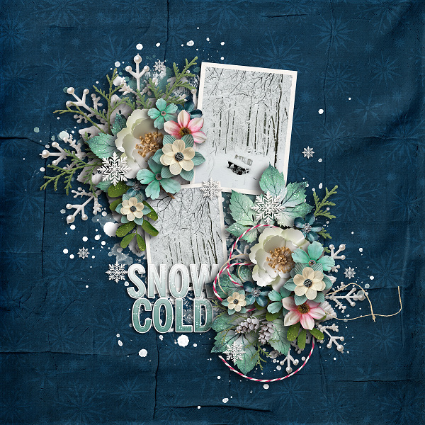 Snow Cold