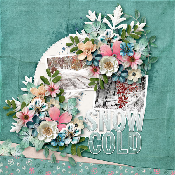 Snow Cold