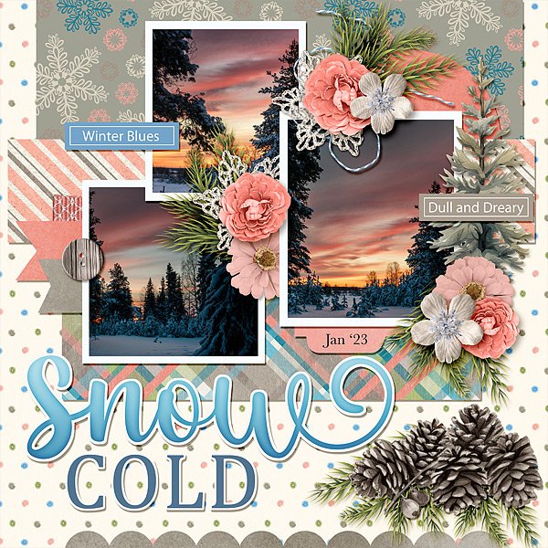 Snow Cold