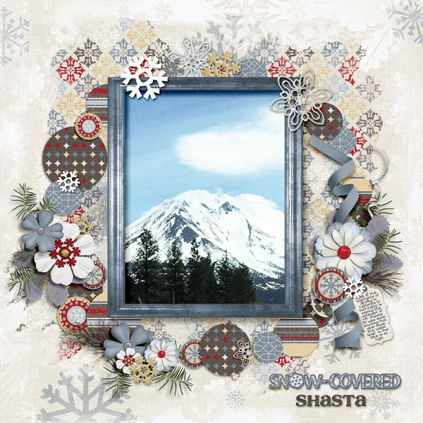 Snow Covered Shasta
