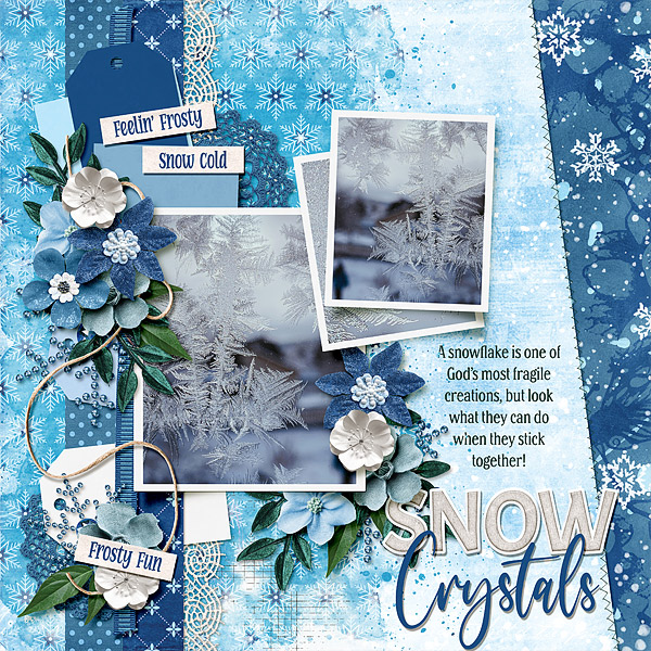 Snow Crystals