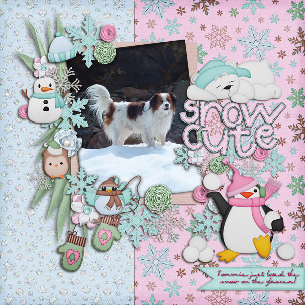 Snow Cute