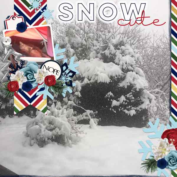Snow Cute