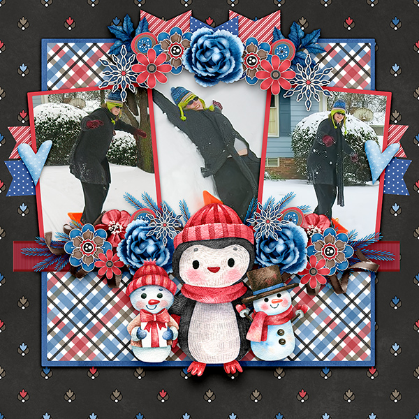 Snow Cute