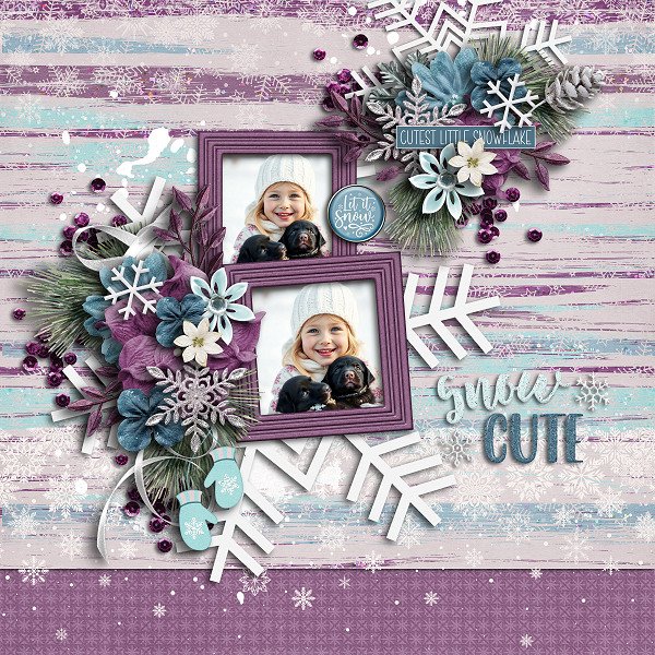 Snow Cute