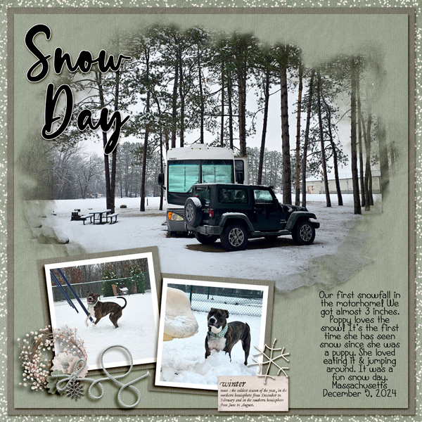 Snow Day 24