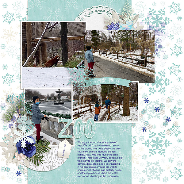Snow Day at the Zoo